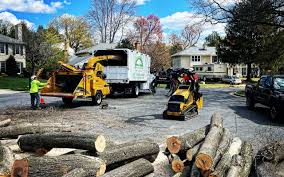 Best Tree Health Inspection  in Marietta, OK