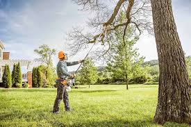 Best Utility Line Clearance  in Marietta, OK