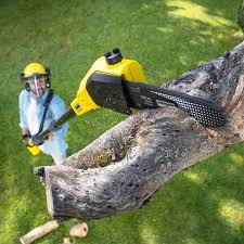 Seasonal Cleanup (Spring/Fall) in Marietta, OK