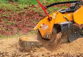 Best Lawn Pest Prevention  in Marietta, OK