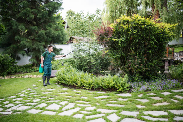 Best Lawn Disease Treatment  in Marietta, OK